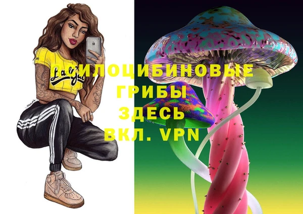 прущие крисы Рославль