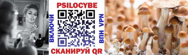 цены   Удачный  Псилоцибиновые грибы Cubensis 
